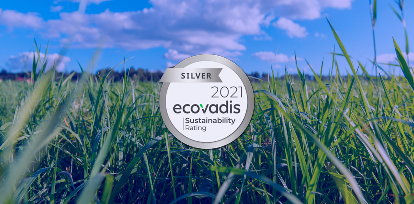 Soraluce awarded with EcoVadis Silver Medal 2021 in recognition of sustainability achievement!